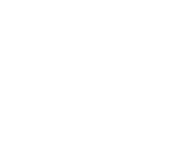 Expertise Best Real - Nashville Roof Master